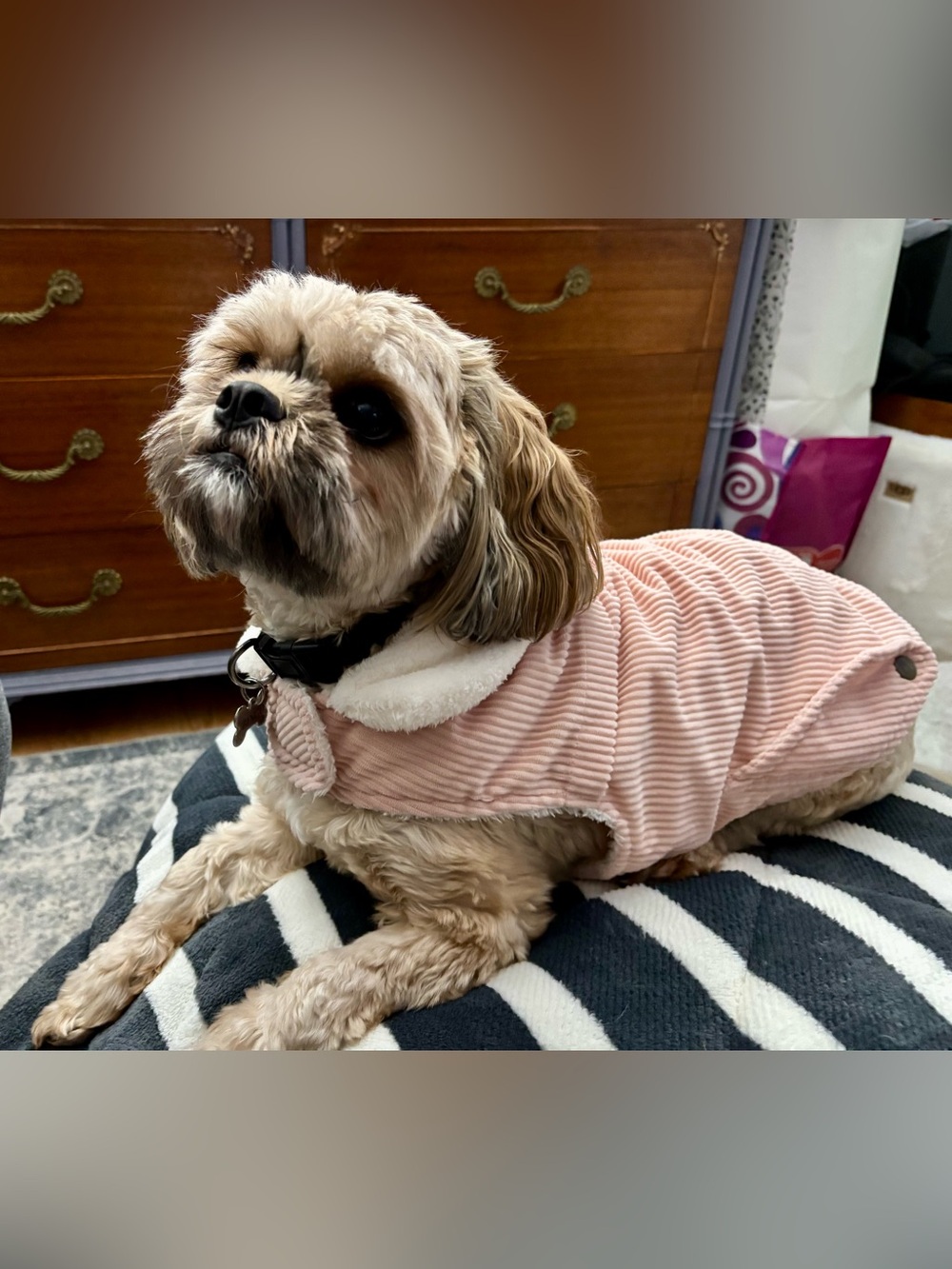 Cozy-Pink Corduroy Dog Coat with Faux Fur Collar